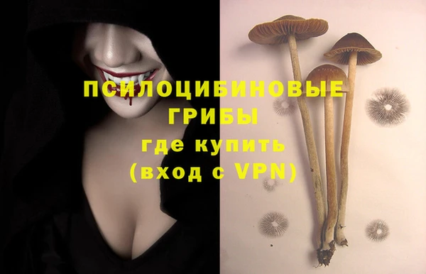 меф Алексин
