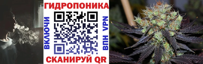 Бошки Шишки THC 21%  купить   Новоаннинский 